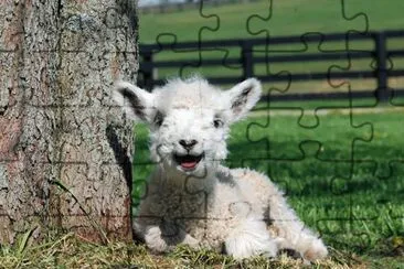 baby 1 jigsaw puzzle