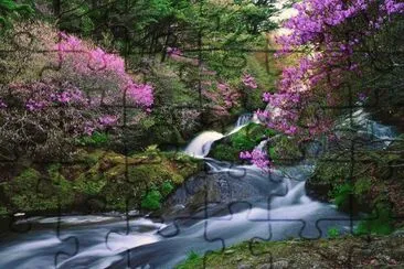 Serenity in Japan