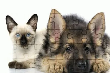 Best Friends jigsaw puzzle