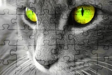Green Eyes jigsaw puzzle