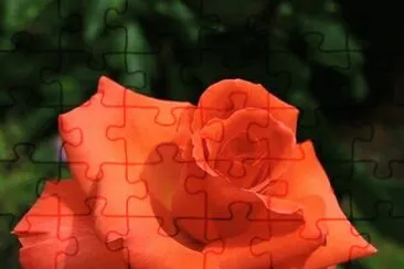imagens