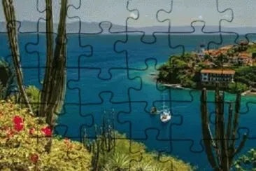 VENEZUELA jigsaw puzzle