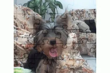 vini3 jigsaw puzzle