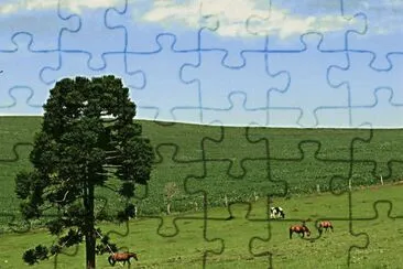 imagens