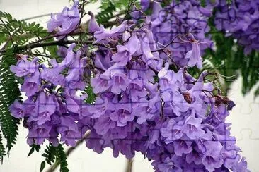 imagens jigsaw puzzle