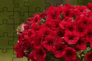 imagens jigsaw puzzle