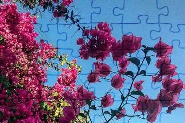 imagens jigsaw puzzle