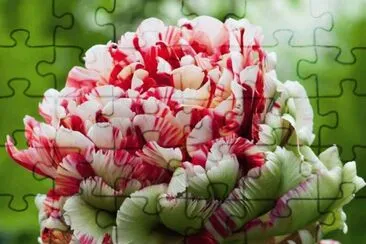 imagens jigsaw puzzle