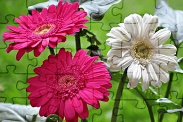 imagens jigsaw puzzle