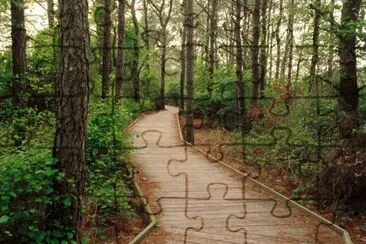 Trees- .hqimage.com-9999452 jigsaw puzzle