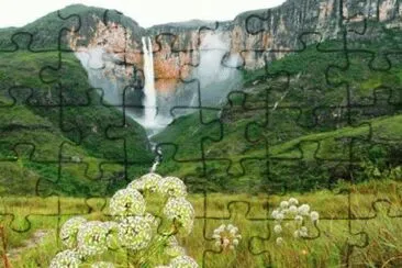 NATUREZA jigsaw puzzle
