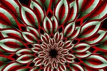 Dahlia