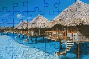 dzf jigsaw puzzle