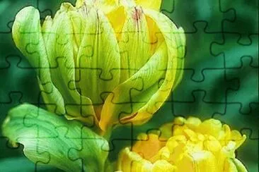 imagens jigsaw puzzle