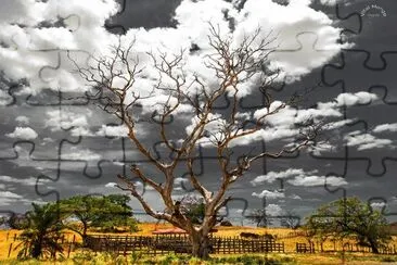  jigsaw puzzle