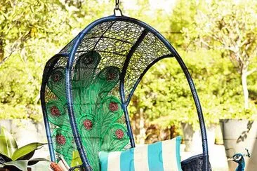 Unique Peacock Swing Chair