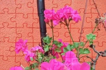 imagens jigsaw puzzle