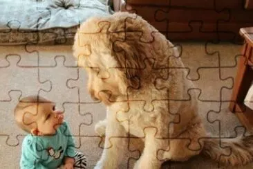 imagens jigsaw puzzle