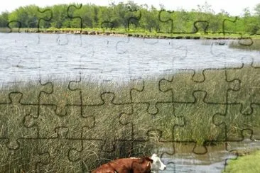 refrescÃ¡ndose jigsaw puzzle