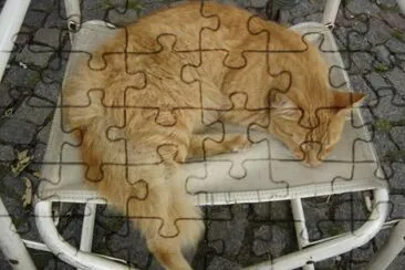 siesta jigsaw puzzle