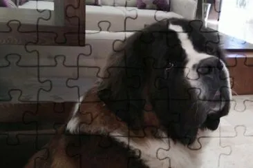 SN BERNARDO jigsaw puzzle