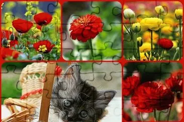 פאזל של gatinhos