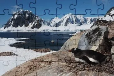 En la AntÃ¡rtida Argentina jigsaw puzzle