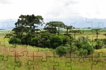  jigsaw puzzle