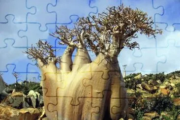 imagens jigsaw puzzle