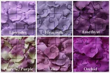Shades of Purple Petals
