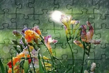 apr25 jigsaw puzzle