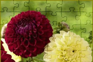 imagens jigsaw puzzle