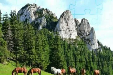 imagens jigsaw puzzle