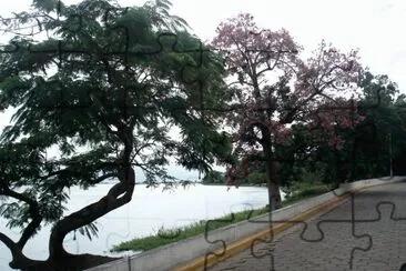 En Esquina. Corrientes. Argentina jigsaw puzzle