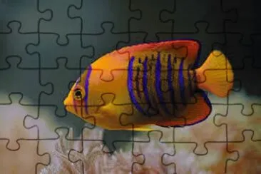Animales en peligro de extinciÃ³n jigsaw puzzle