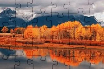 Animales en peligro de extinciÃ³n jigsaw puzzle