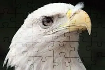 Animales en peligro de extinciÃ³n jigsaw puzzle