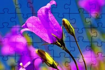imagens jigsaw puzzle
