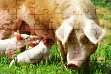 mom#210 jigsaw puzzle