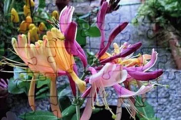 imagens jigsaw puzzle