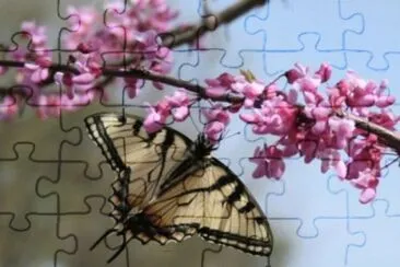 may2 jigsaw puzzle