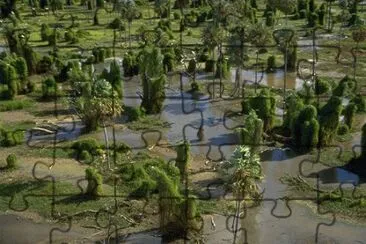 PN RÃ­o Pilcomayo. Formosa. Argentina jigsaw puzzle