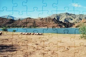 Laguna De Brealito - Salta