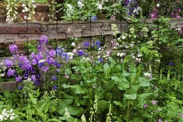 Pretty Spring Flower Garden