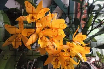 imagens jigsaw puzzle