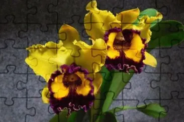 imagens jigsaw puzzle