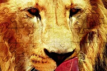 leÃ³n
