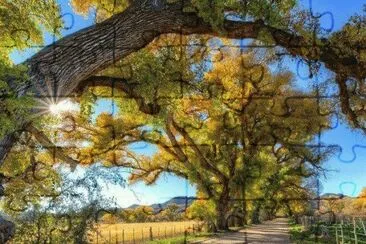 imagens jigsaw puzzle