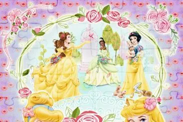 Cinderella Aurora Belle Tiana SnowWhite jigsaw puzzle