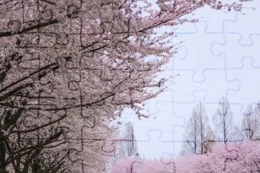 imagens jigsaw puzzle